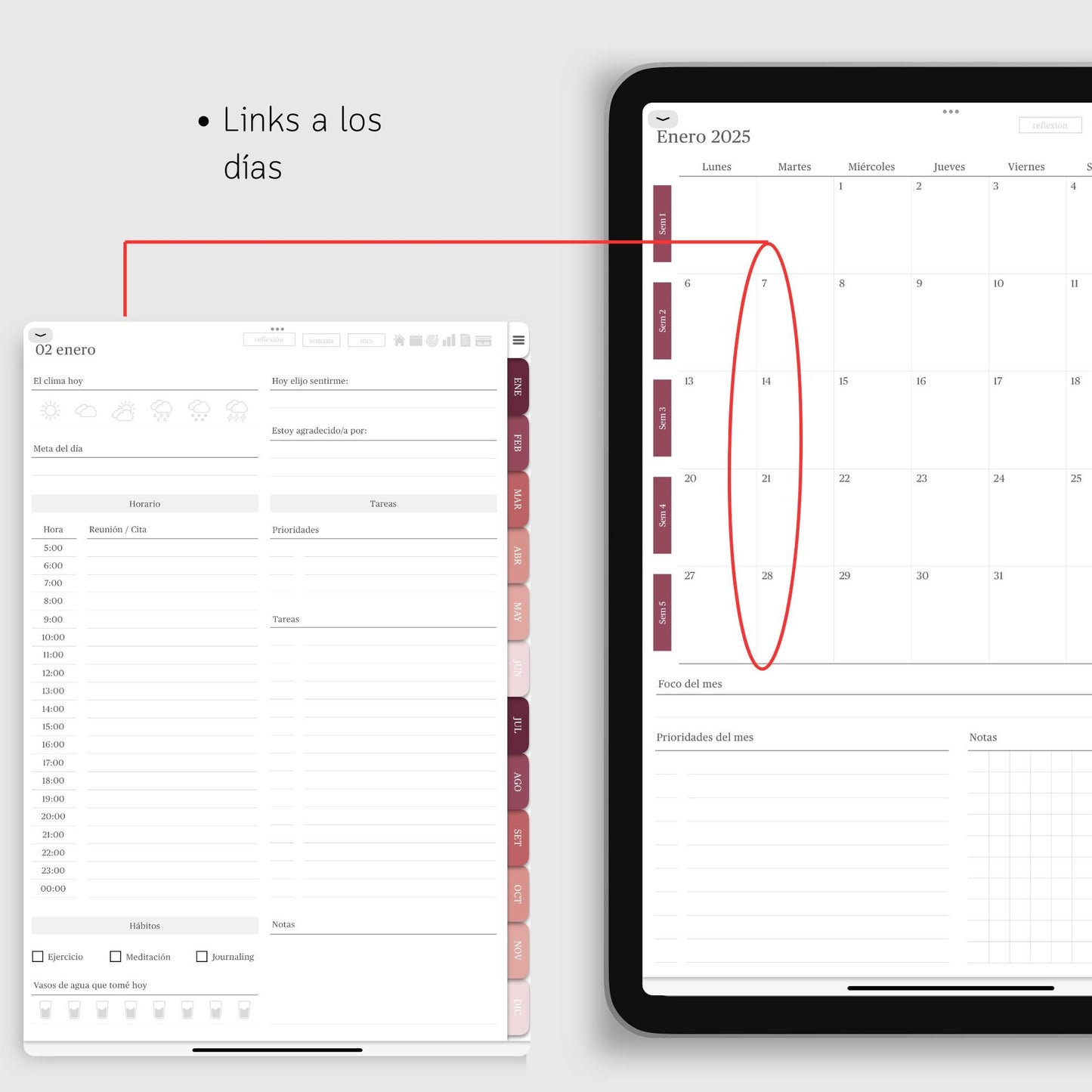 Agenda Digital 2025 Rosada con Links para iPad con MÁS de 500 STICKERS