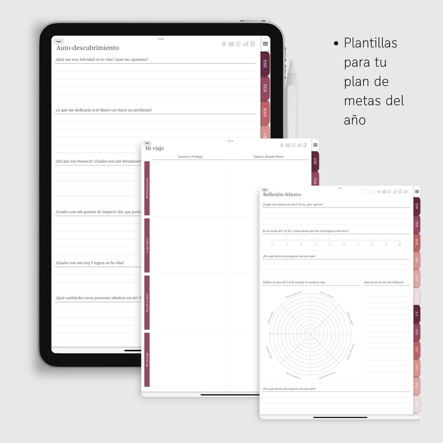 Agenda Digital 2025 Rosada con Links para iPad con MÁS de 500 STICKERS