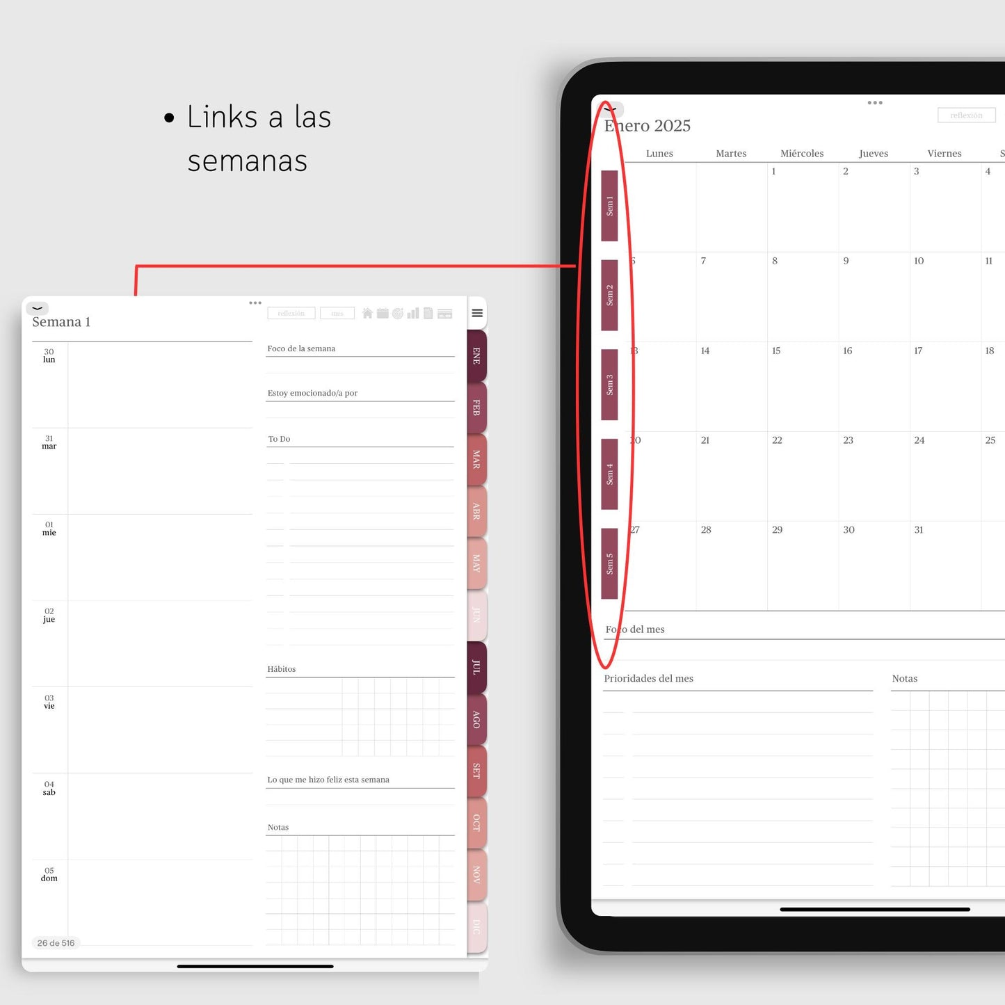 Agenda Digital 2025 Rosada con Links para iPad con MÁS de 500 STICKERS