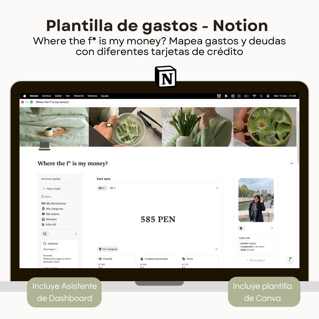 Seguimiento de Gastos | WTF is my money? | Plantilla Notion - Vista principal para iPad