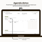 Reset & Plan 2026 - Plantilla de Notion