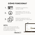 Planner 2026 - Plantilla de Notion - Diseño de página mensual