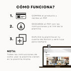 Guía de Manifestación Notion | Plantilla Digital + Vision Board - Diseño de página mensual