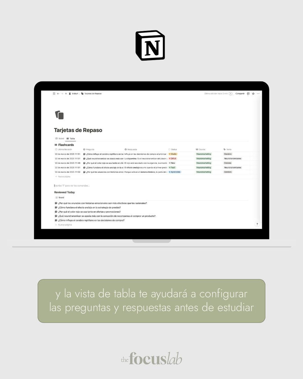 Tarjetas de repaso (Flashcards) - Notion - Vista interior de páginas