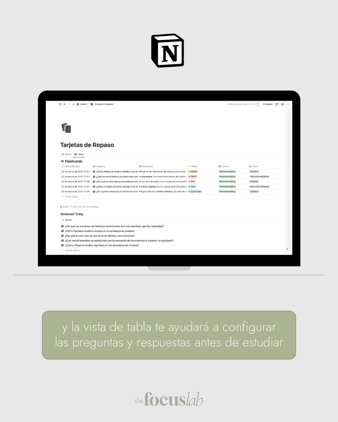 Tarjetas de repaso (Flashcards) - Notion - Vista interior de páginas