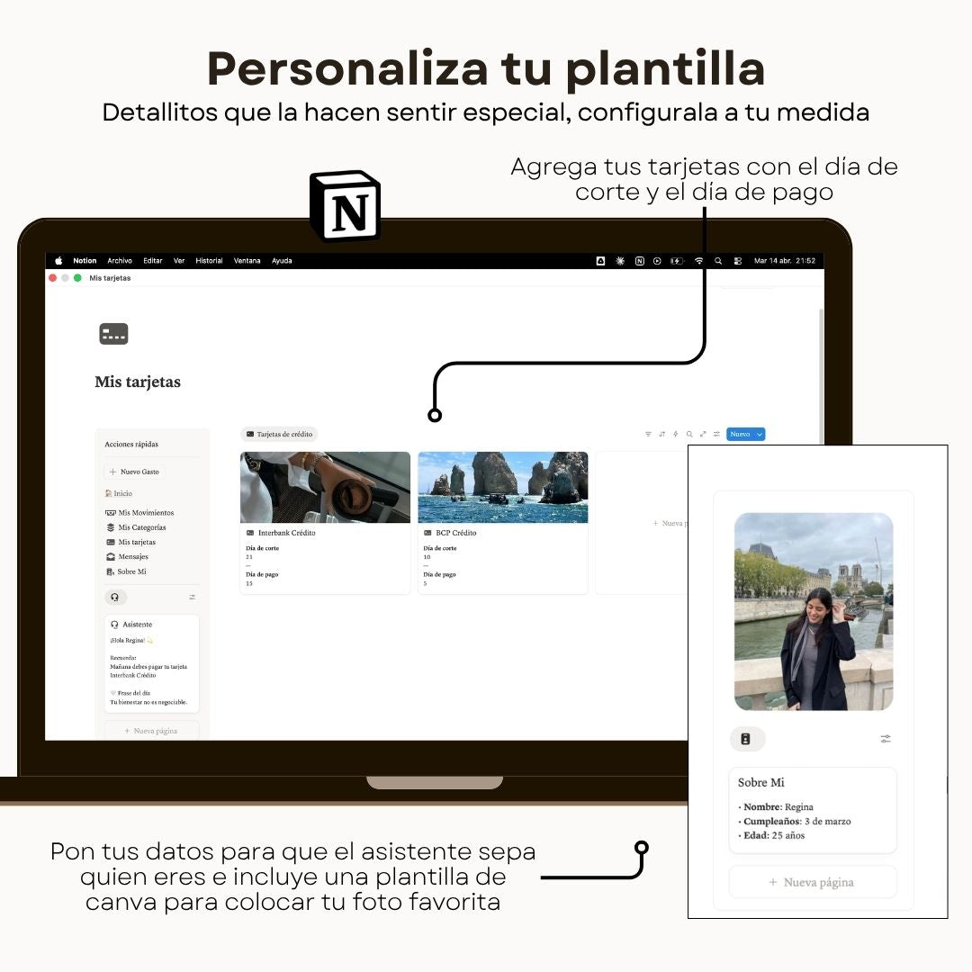 Seguimiento de Gastos | WTF is my money? | Plantilla Notion - Detalle de diseño