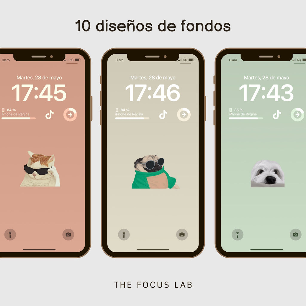 Fondos de Pantalla de Animalitos - Diseño de página mensual