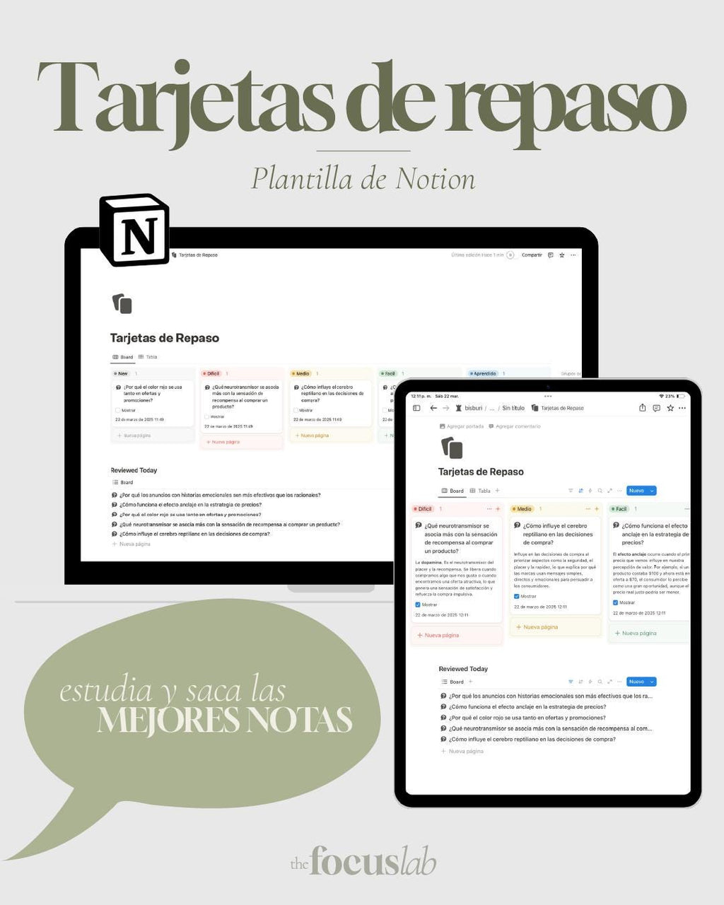 Tarjetas de repaso (Flashcards) - Notion - Vista principal para iPad