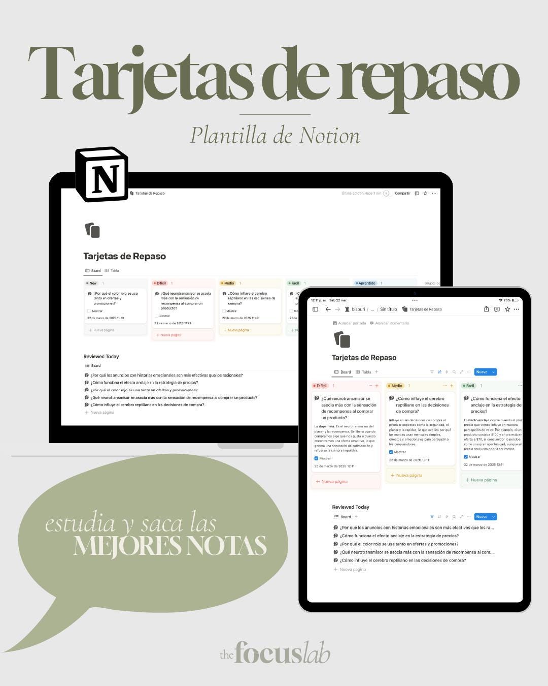 Tarjetas de repaso (Flashcards) - Notion - Vista principal para iPad