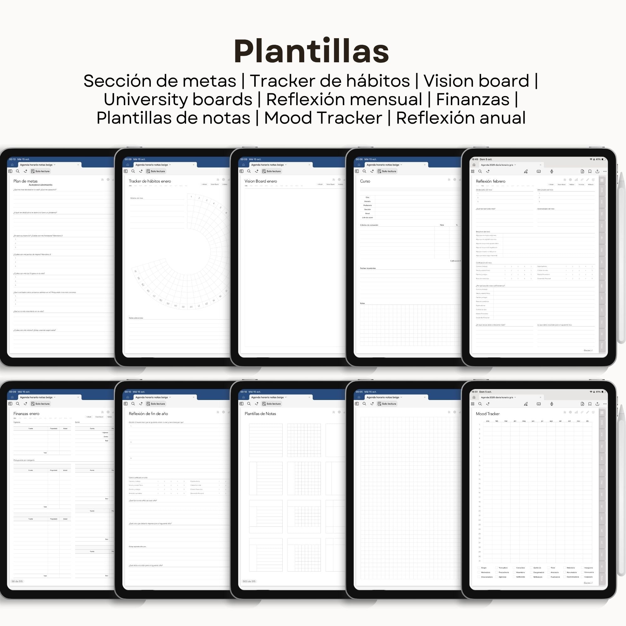 Agenda Digital Vichy Gris 2026 Diaria - Mockup en iPad