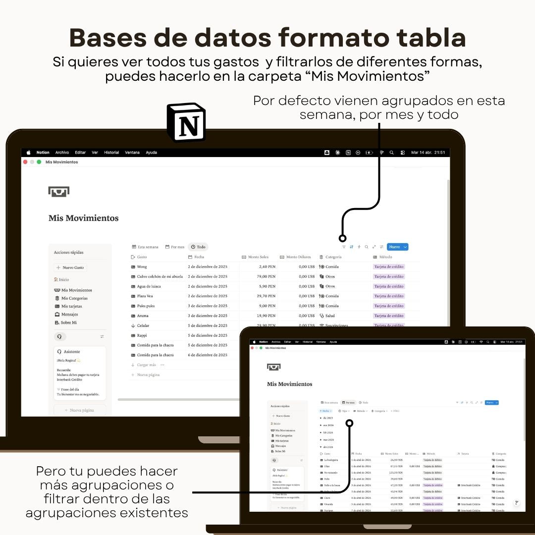 Seguimiento de Gastos | WTF is my money? | Plantilla Notion - Ejemplo de uso en GoodNotes