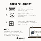 Reset & Plan 2026 - Plantilla de Notion - Portada del planner digital