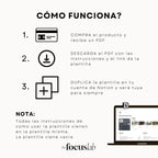 Reset & Plan 2026 - Plantilla de Notion